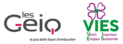 Logos GIEC VIES Logos GIEC VIES