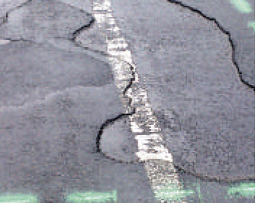 Pelade nids-de-poule